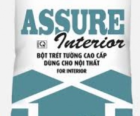 BỘT TRÉT TƯỜNG NỘI THẤT ĐỒNG TÂM- ASSURE