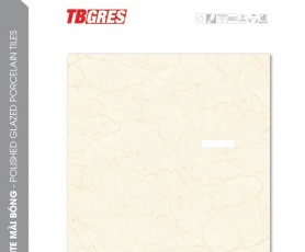 THẠCH BÀN - GRANITE MÀI BÓNG TGB60-0853