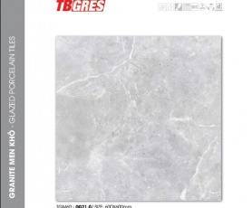 THẠCH BÀN- GRANITE MEN KHÔ TGM60-0021