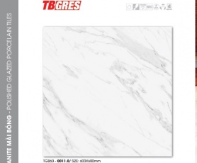 THẠCH BÀN - GRANITE MÀI BÓNG TGB60-0011