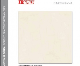 THẠCH BÀN - GRANITE MÀI BÓNG TGB60-0071