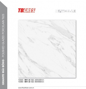 THẠCH BÀN - GRANITE MÀI BÓNG TGB60-0011