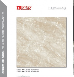 THẠCH BÀN - GRANITE MÀI BÓNG TGB60-0041