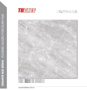 THẠCH BÀN - GRANITE MÀI BÓNG TGB60-0042