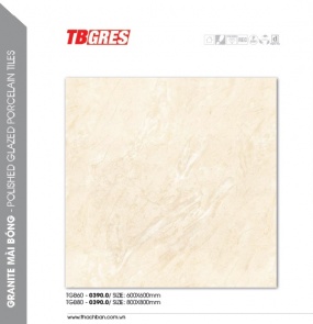 THẠCH BÀN - GRANITE MÀI BÓNG TGB60-0390