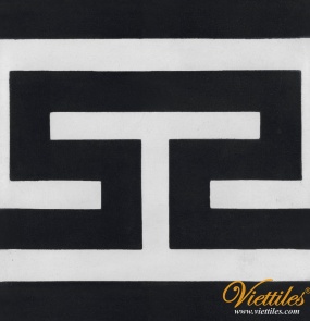 V20B-017-T-01