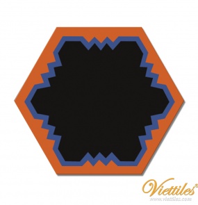 VH23-010-T-01