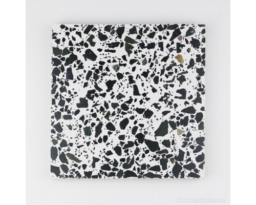 GẠCH TERRAZZO CR100C