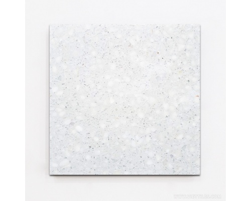 GẠCH TERRAZZO CR100D