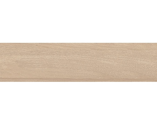 GẠCH VÂN GỖ SKYWOOD PINE