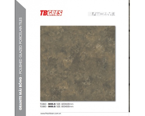 THẠCH BÀN GRANITE MÀI BÓNG - TGB60-0855