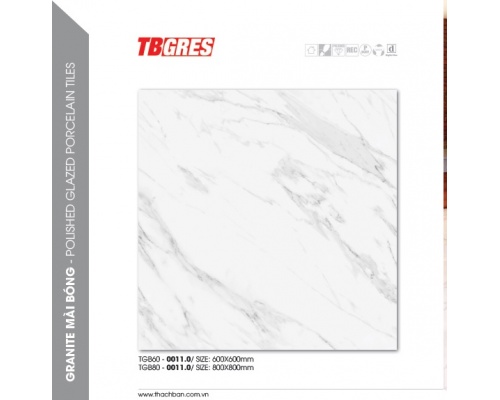 THẠCH BÀN - GRANITE MÀI BÓNG TGB60-0011