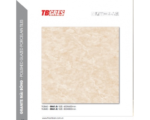 THẠCH BÀN - GRANITE MÀI BÓNG TGB60-0061