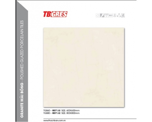 THẠCH BÀN - GRANITE MÀI BÓNG TGB60-0071