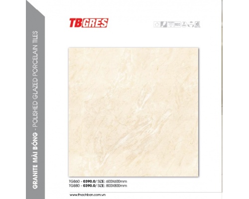 THẠCH BÀN - GRANITE MÀI BÓNG TGB60-0390