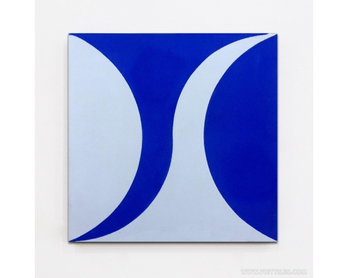 V20-806-GẠCH BÔNG