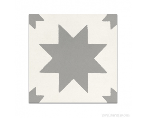 V20-828 GẠCH BÔNG