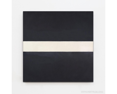 V20-910-T02 GẠCH BÔNG