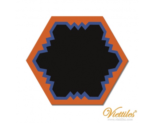 VH23-010-T-01